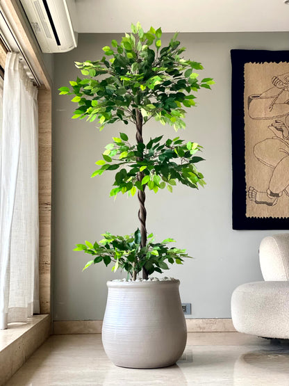 Artificial Verano Ficus Plant - 6 Feet