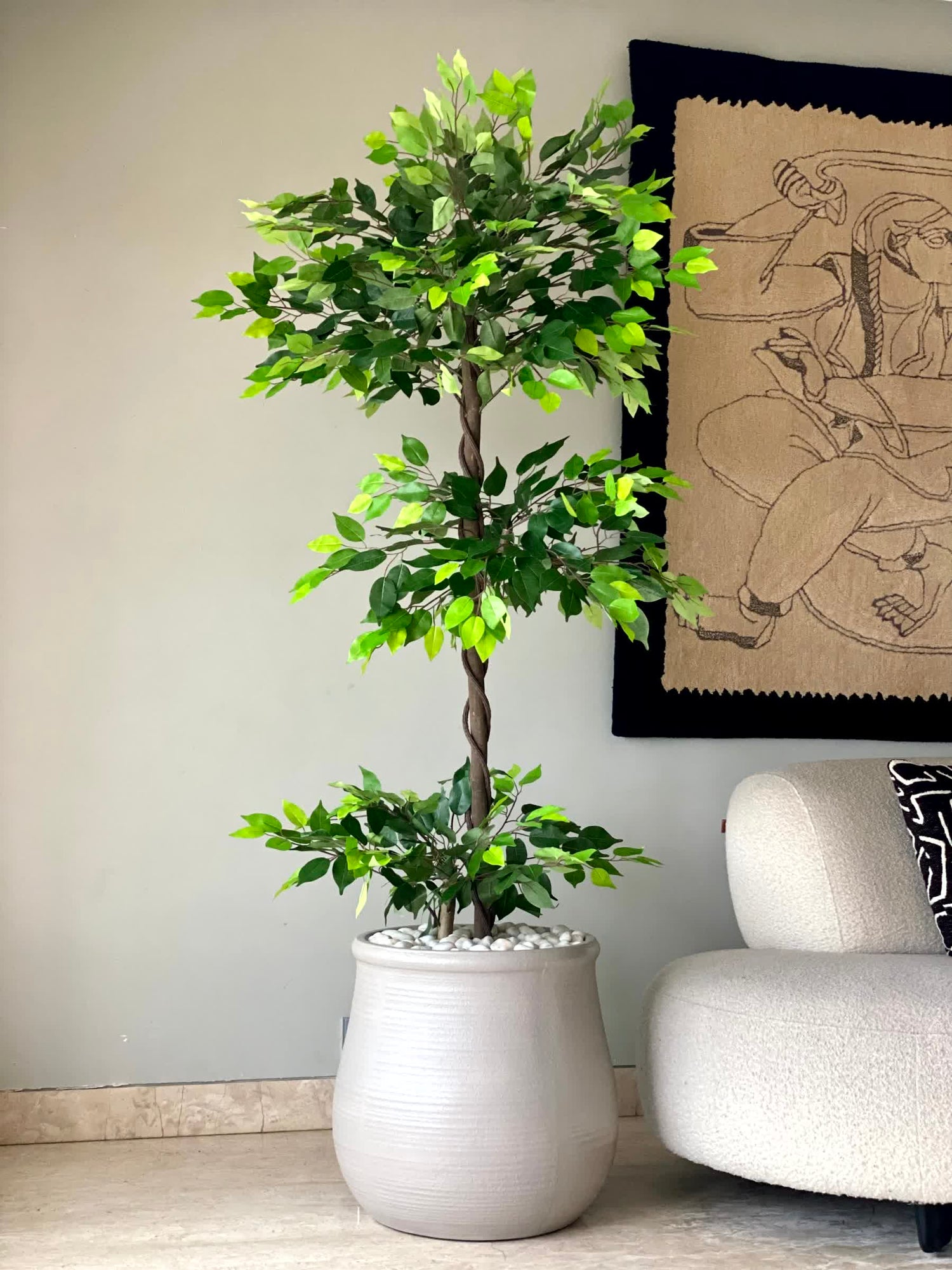 Artificial Verano Ficus Plant - 6 Feet