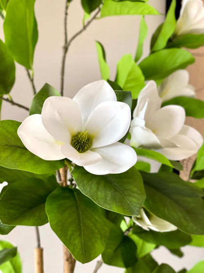 Artificial Magnolia Plant - 6 Feet