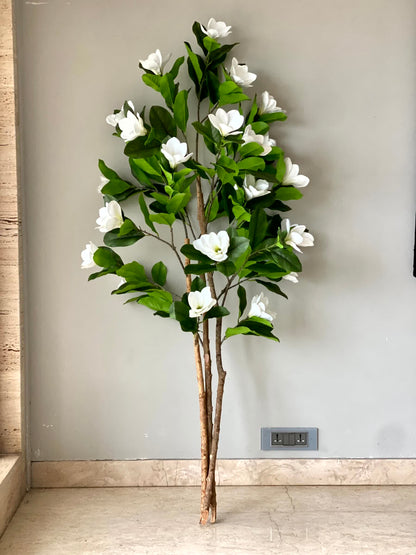 Artificial Magnolia Plant - 6 Feet