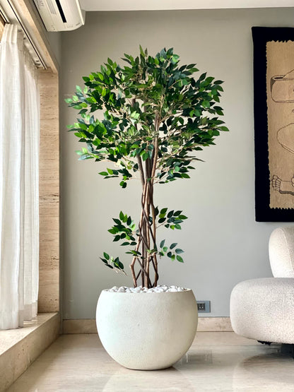 Artificial Verdant Grove Ficus - 5 Feet