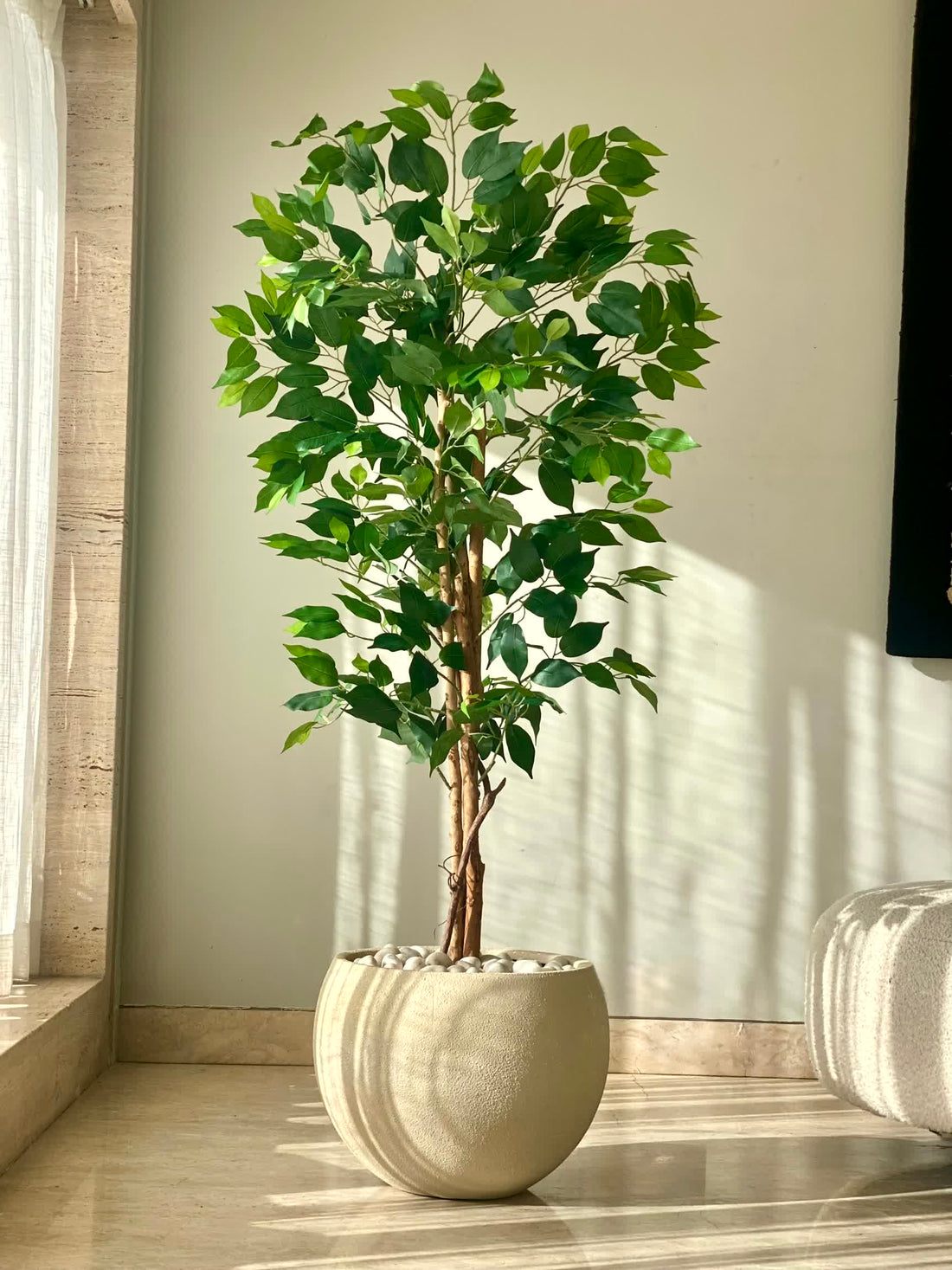 Artificial Grove Ficus Plant - 5 Feet