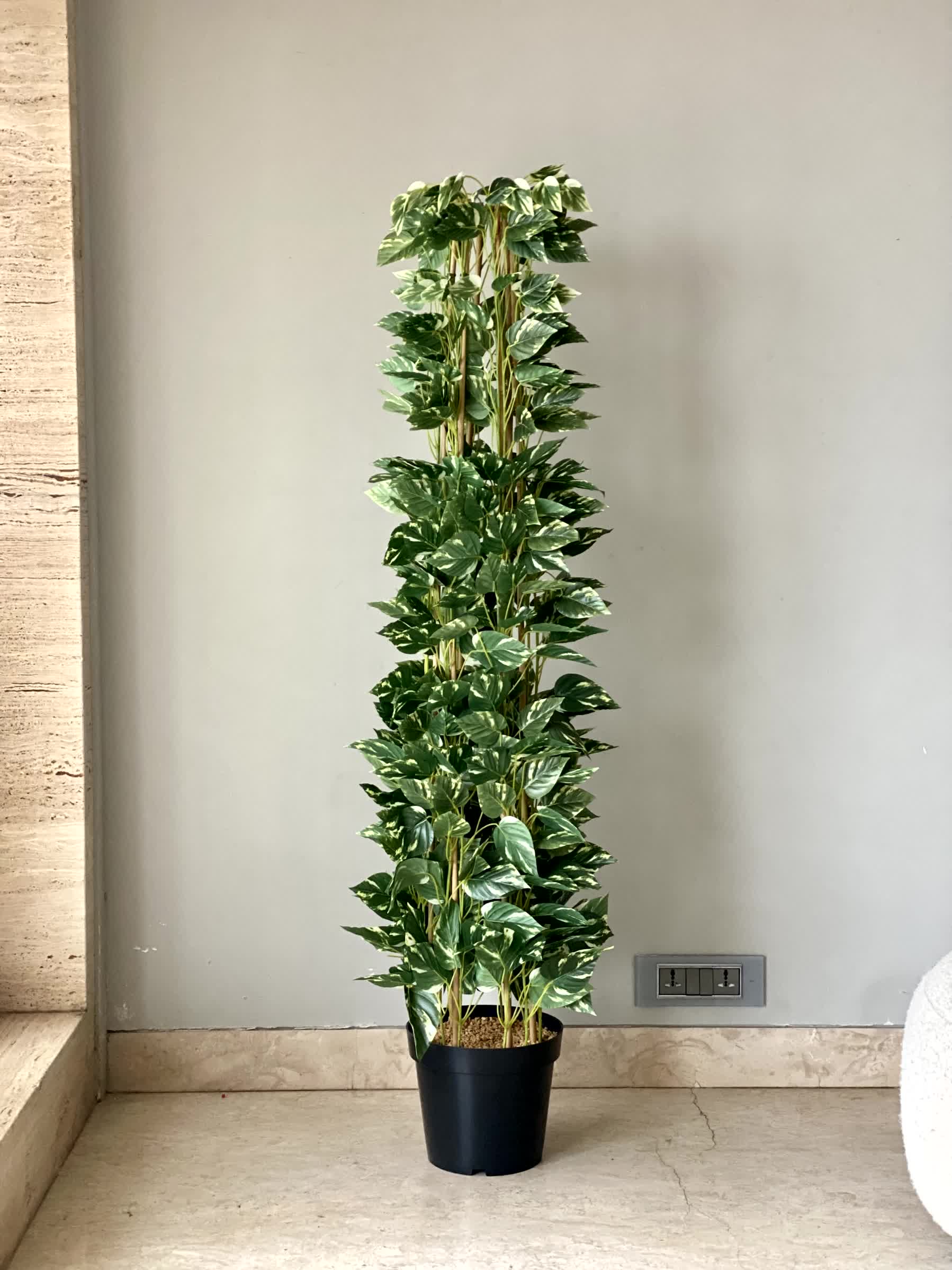 Artificial Moss Pole Money Plant - 5 Feet