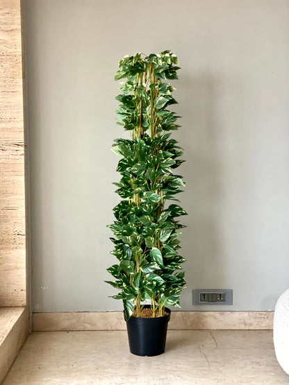 Artificial Moss Pole Money Plant - 5 Feet