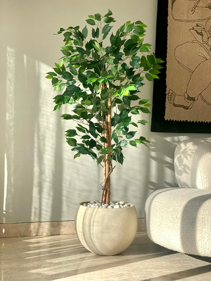 Artificial Grove Ficus Plant - 5 Feet