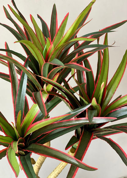 Artificial Red Yucca Plant - 1.4 Feet