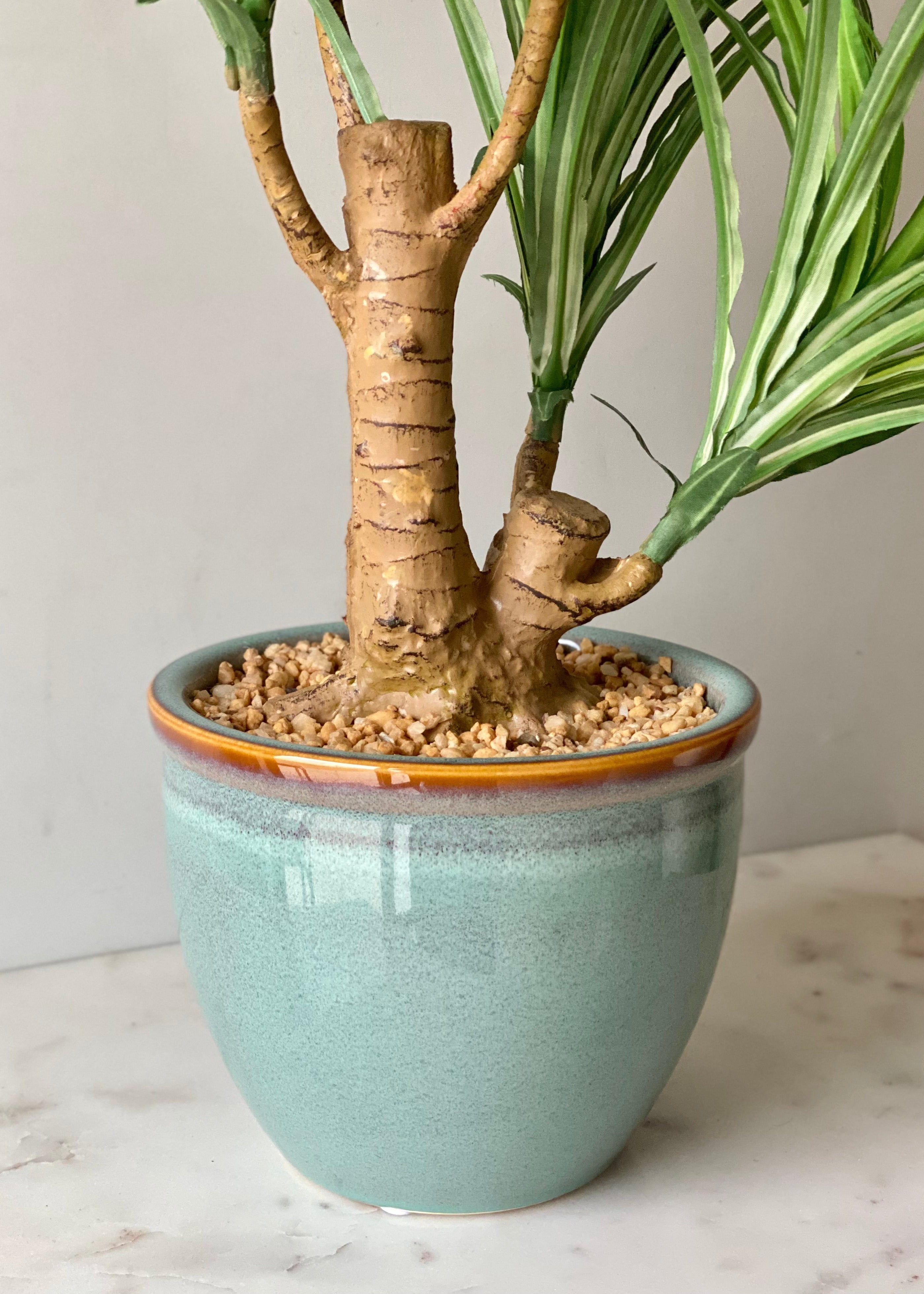 Artificial Green Dracaena Cane Plant - 2 Feet
