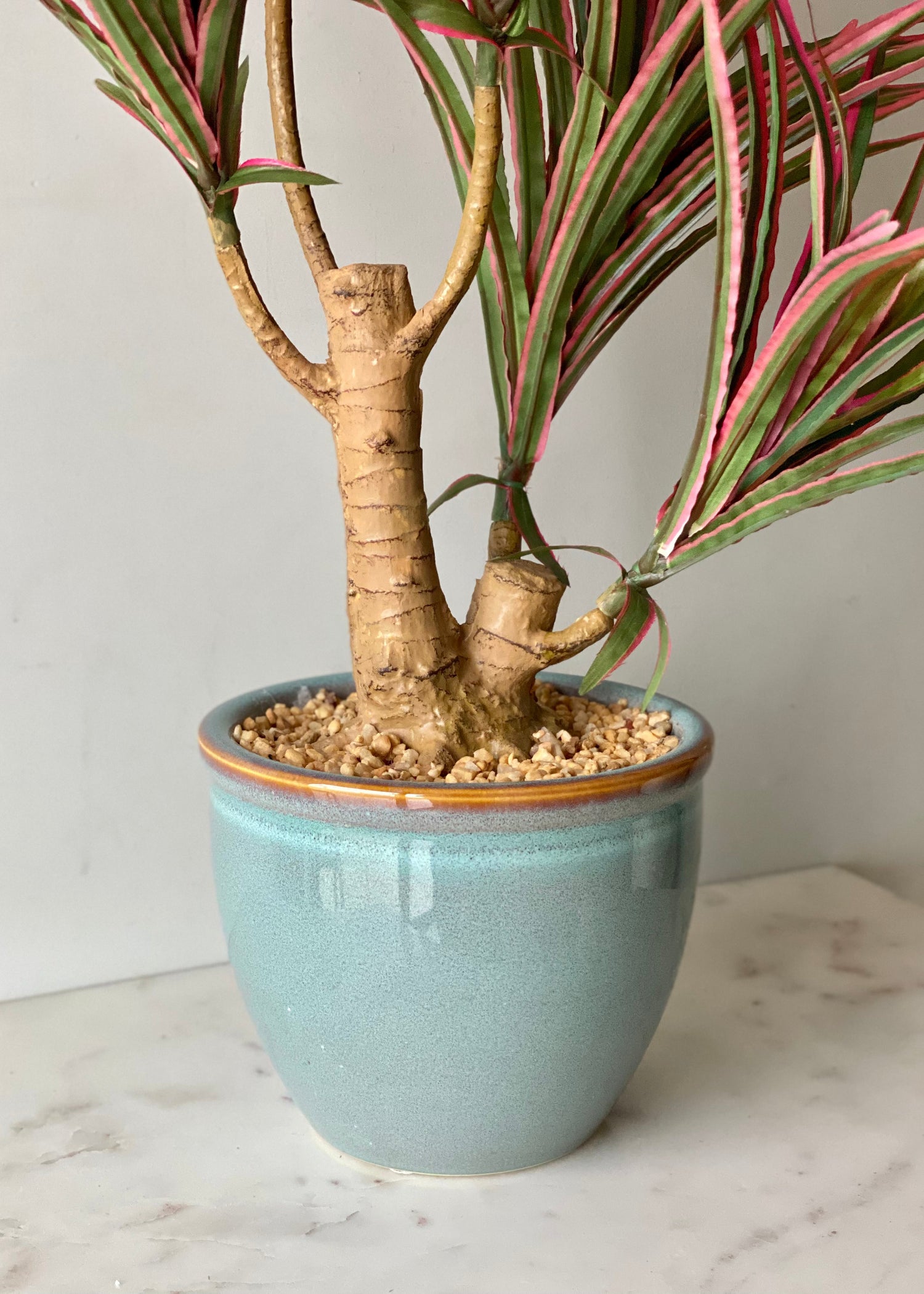 Artificial Red Dracaena Cane Plant - 2 Feet