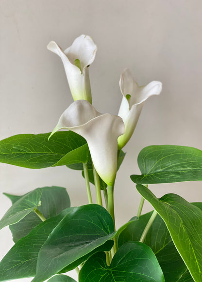 Artificial Calla Lily Plant