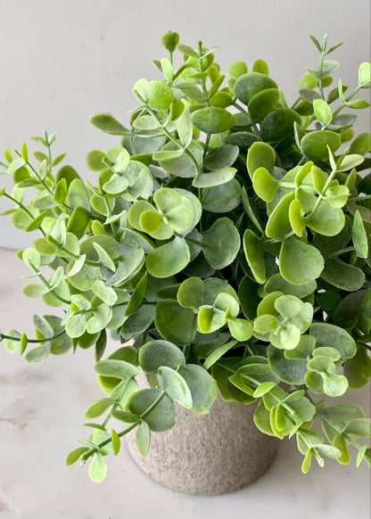 Artificial Eucalyptus Foliage Plant
