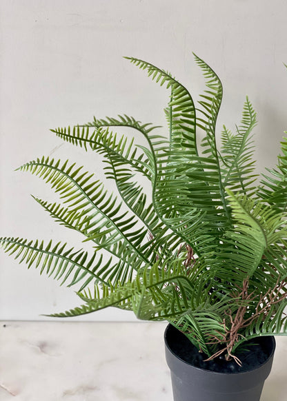 Artificial Sword Fern Plant - Feet