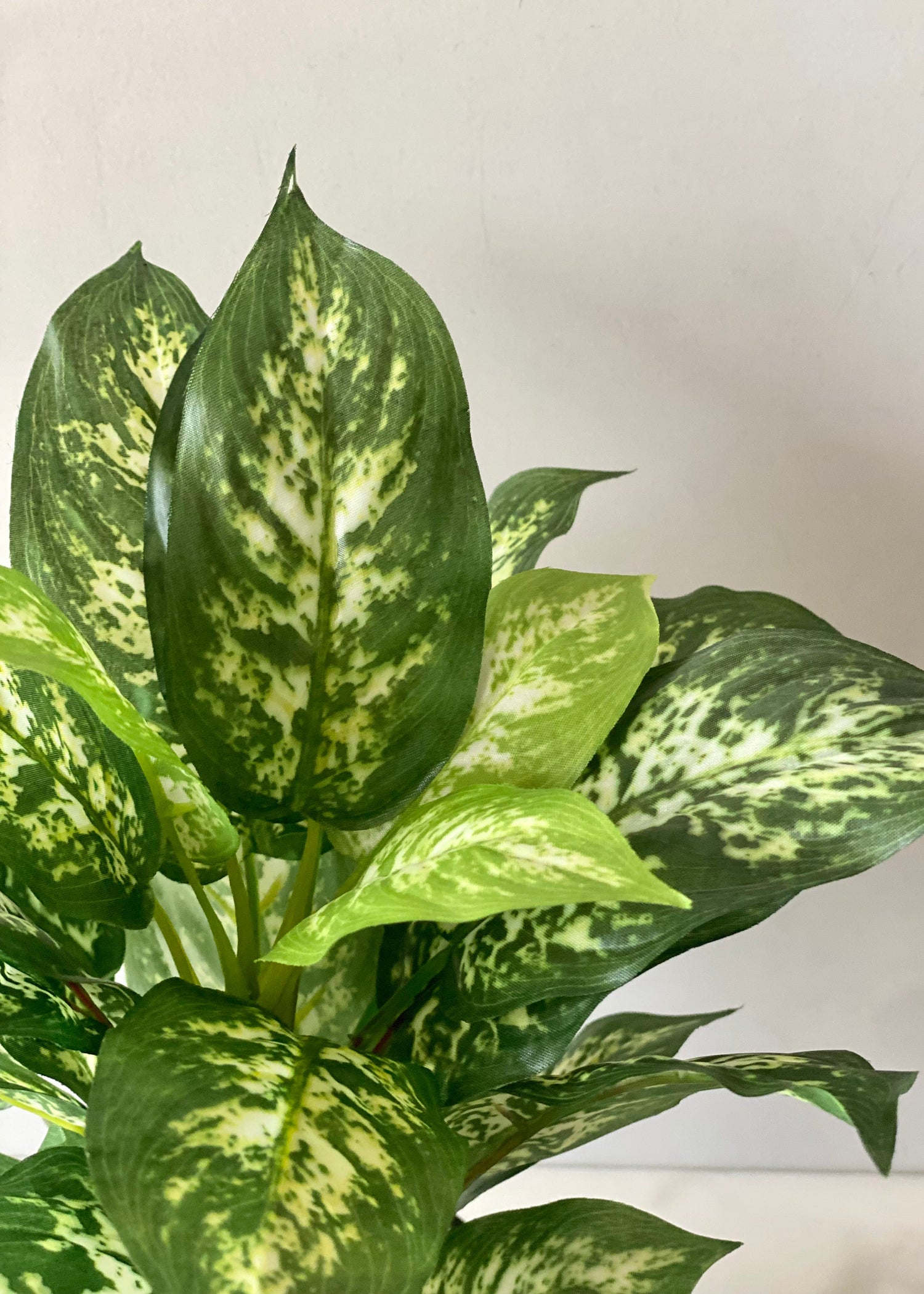 Artificial Dieffenbachia Plant