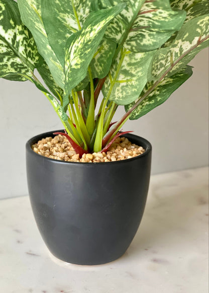 Artificial Dieffenbachia Plant
