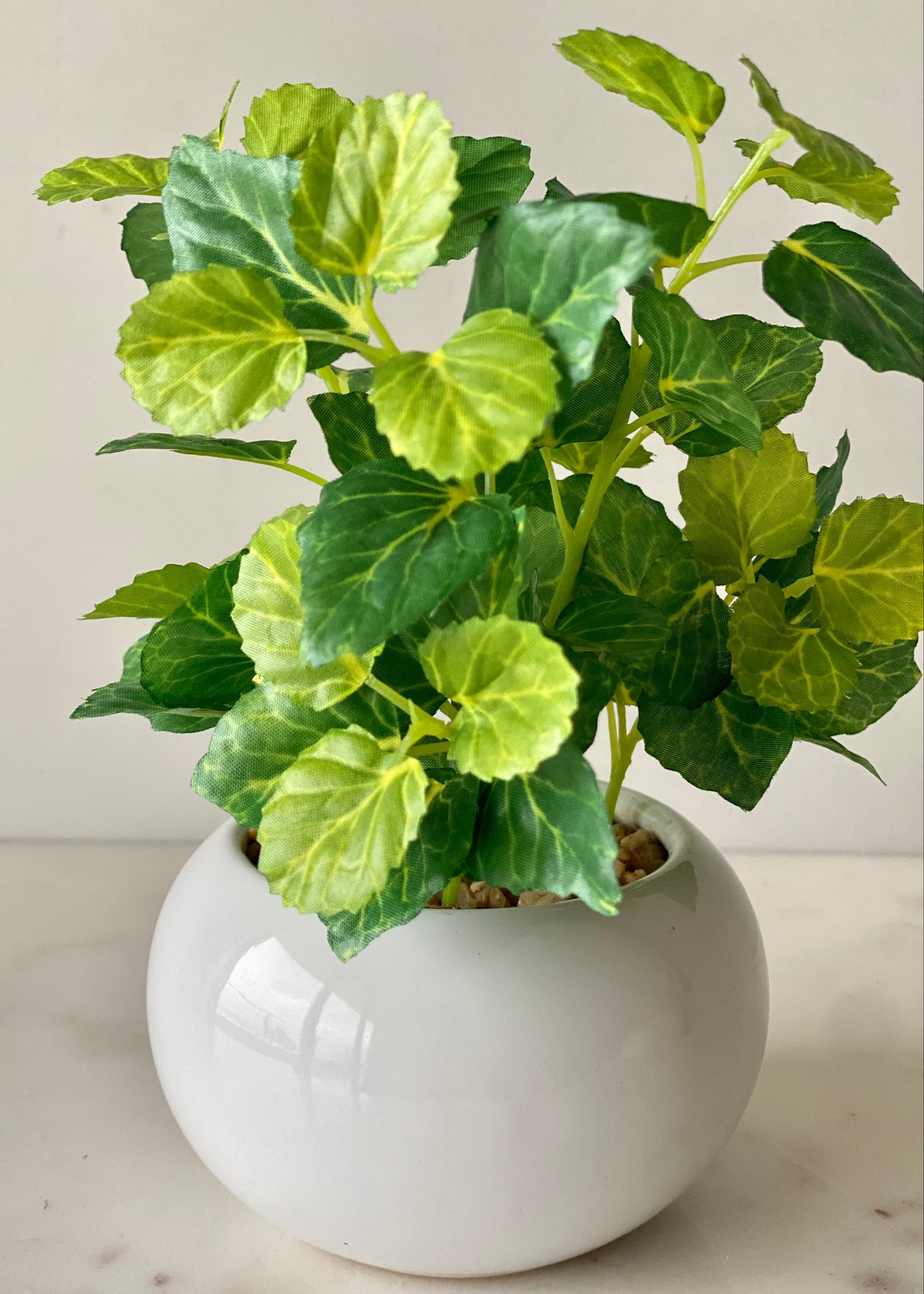 Artificial Variegated Aralia Plant