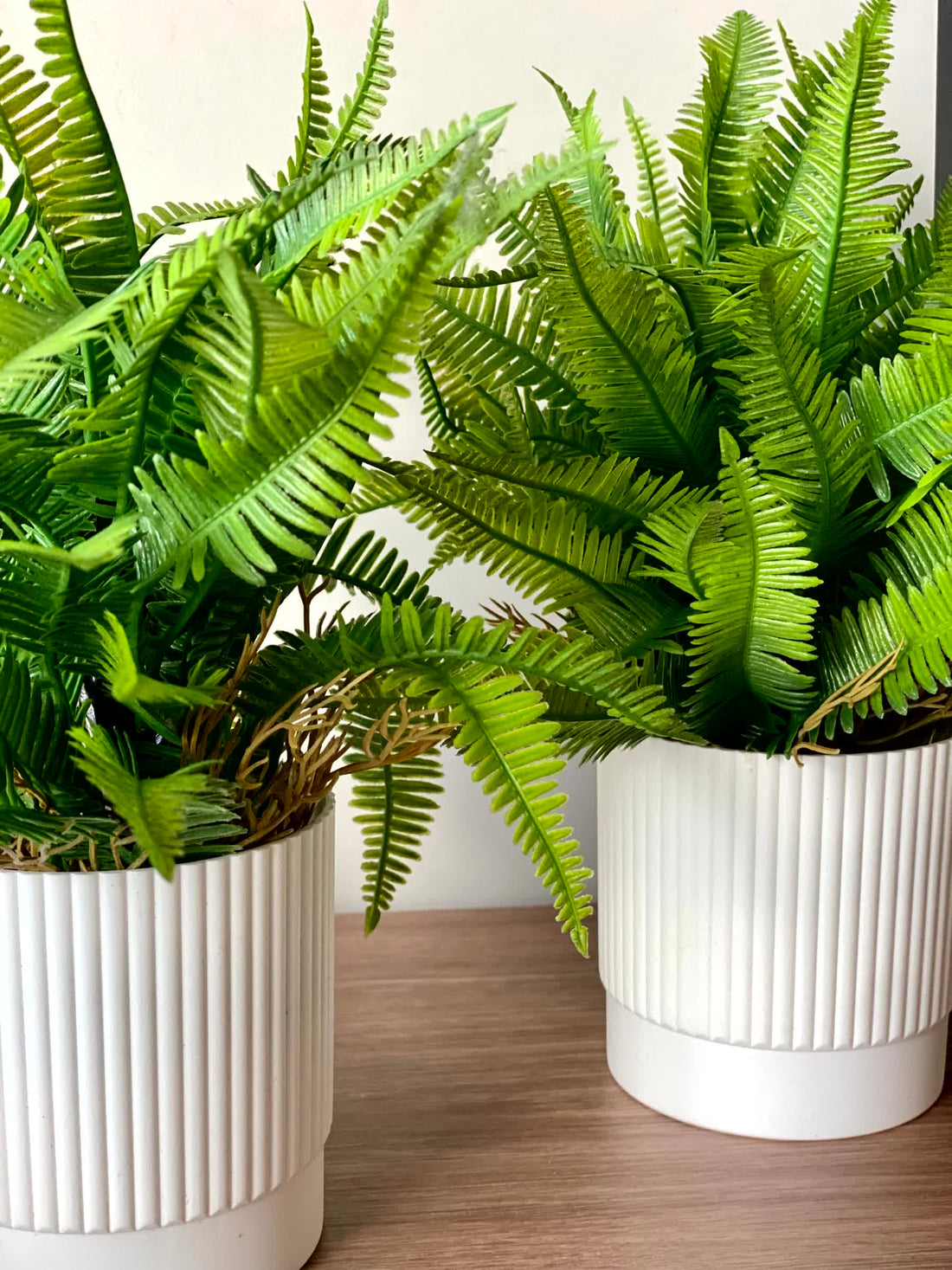 Artificial Lush Fern Plant - Medium (Set of 2)