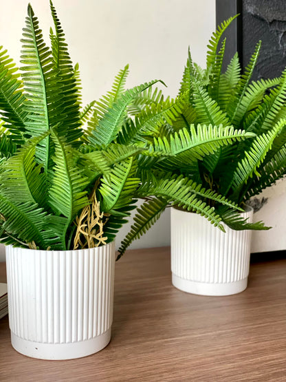 Artificial Lush Fern Plant - Small (Set of 2)