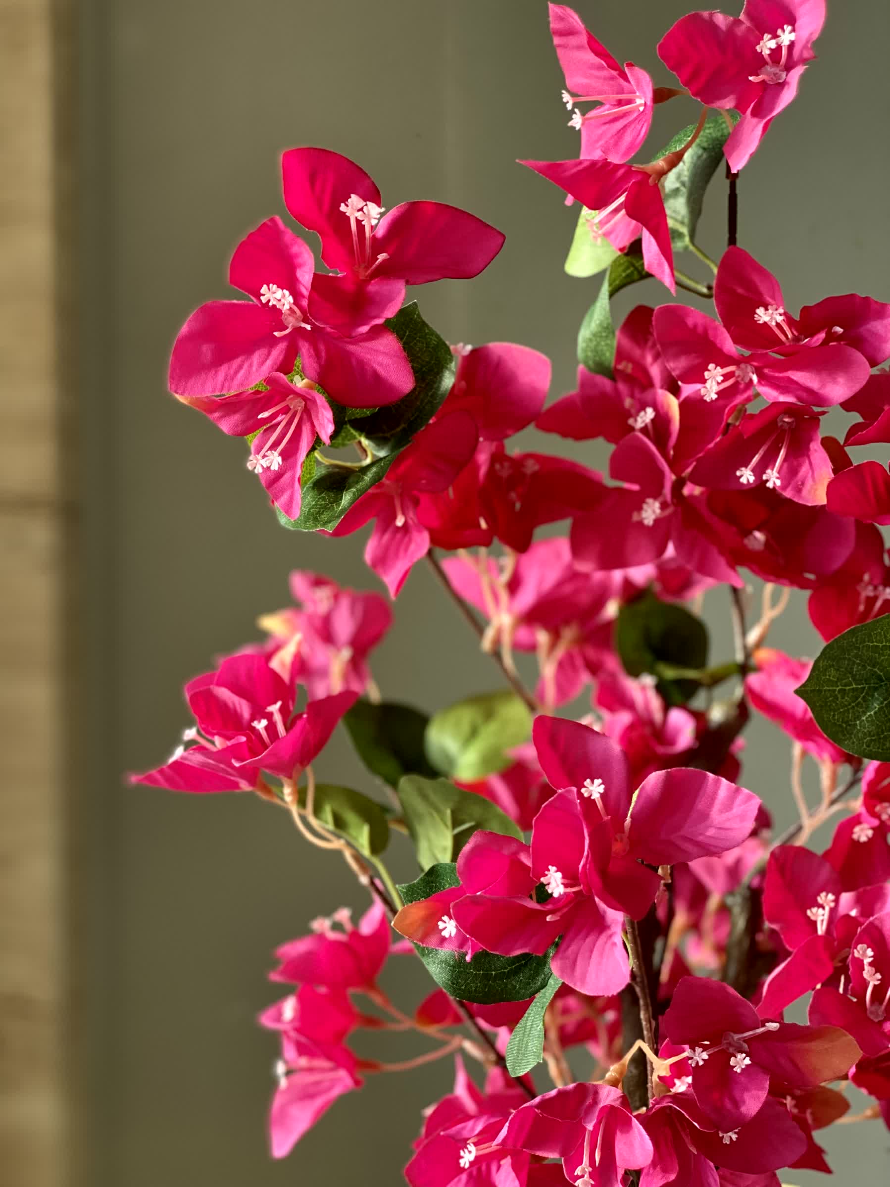 Artificial Blush Bougainvillea Plant - 2 Feet