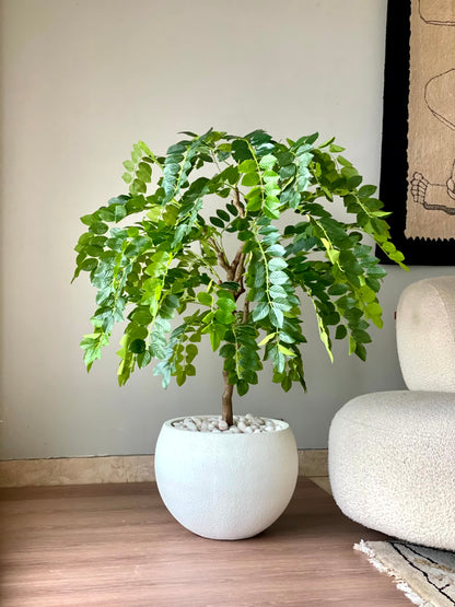 Artificial Evergreen Plant - 4 Feet