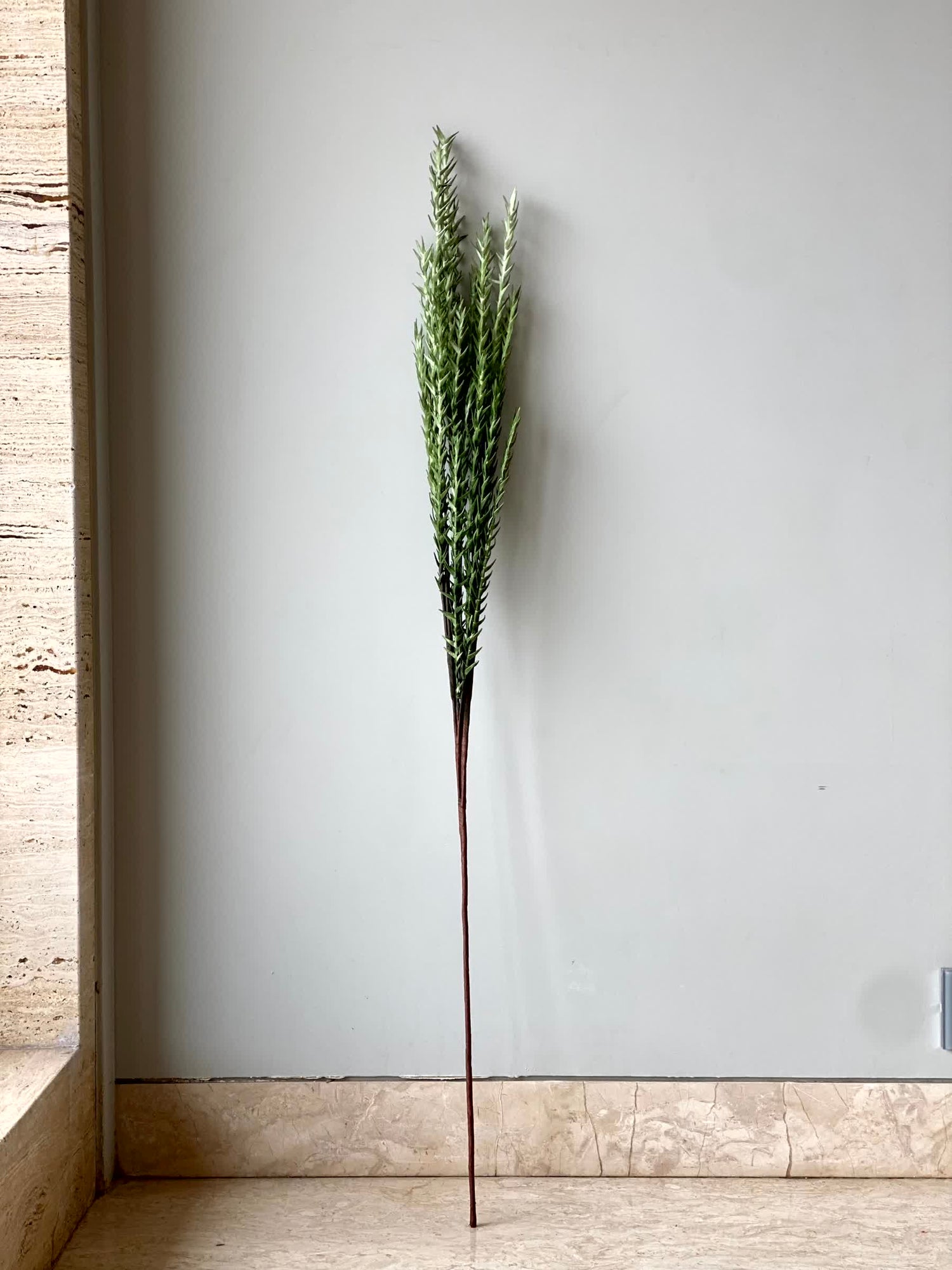 Artificial Pampas Grass (One Stem) - Green