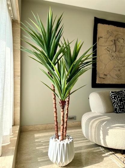 Artificial Yucca Tree - 6 Feet