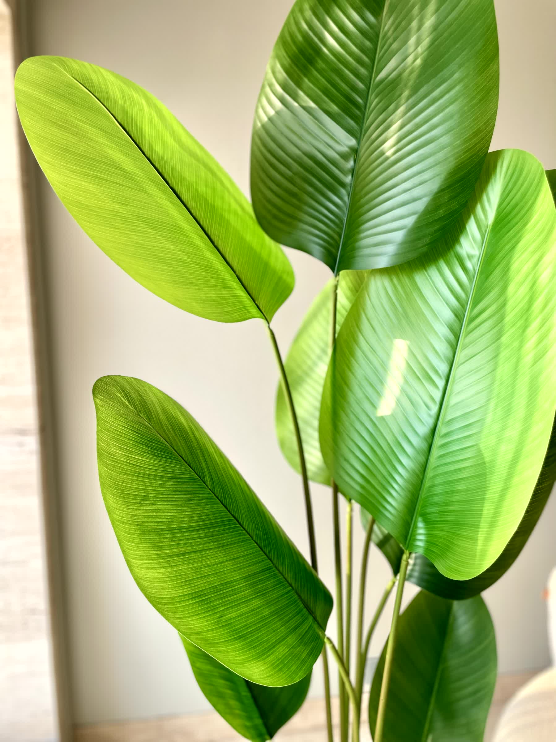 Artificial Calathea Palm Tree -  6 Feet