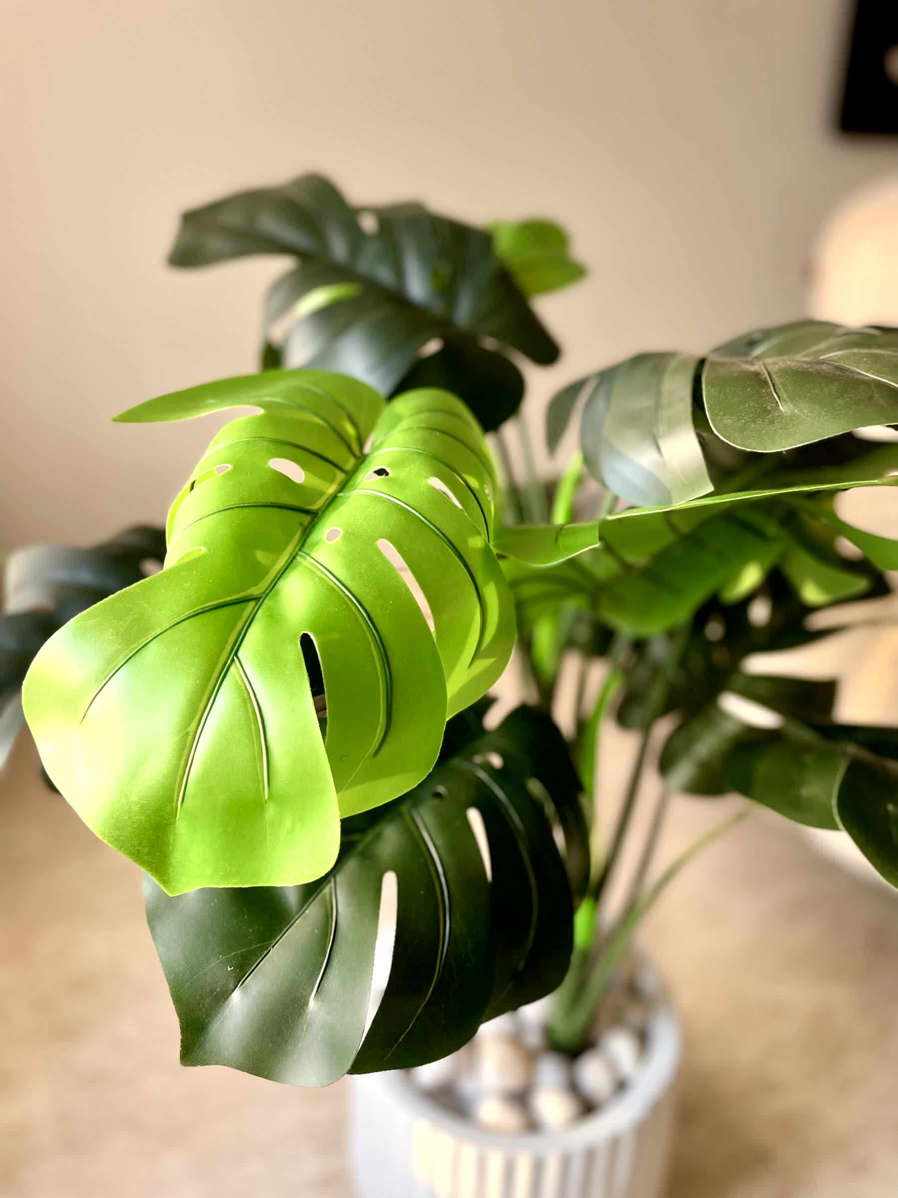 Artificial Monstera Plant (2 Feet)