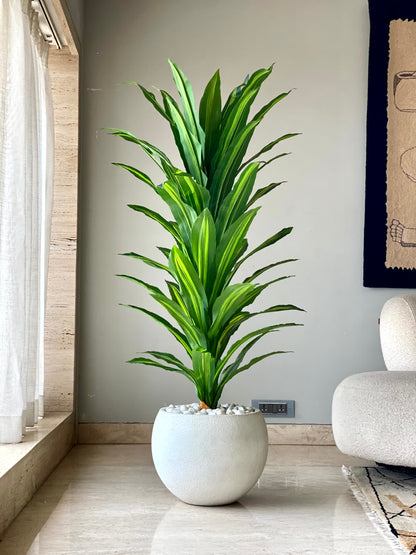 Artificial Tropical Dracaena Floor Plant  - 5 Feet