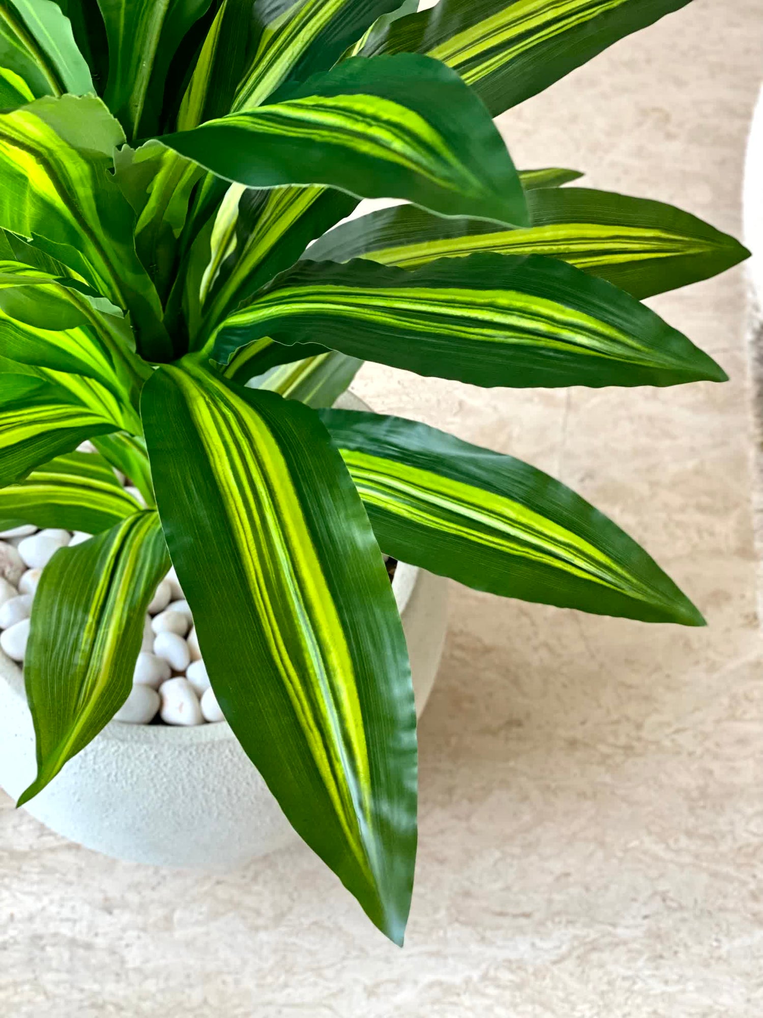 Artificial Tropical Dracaena Floor Plant  - 5 Feet