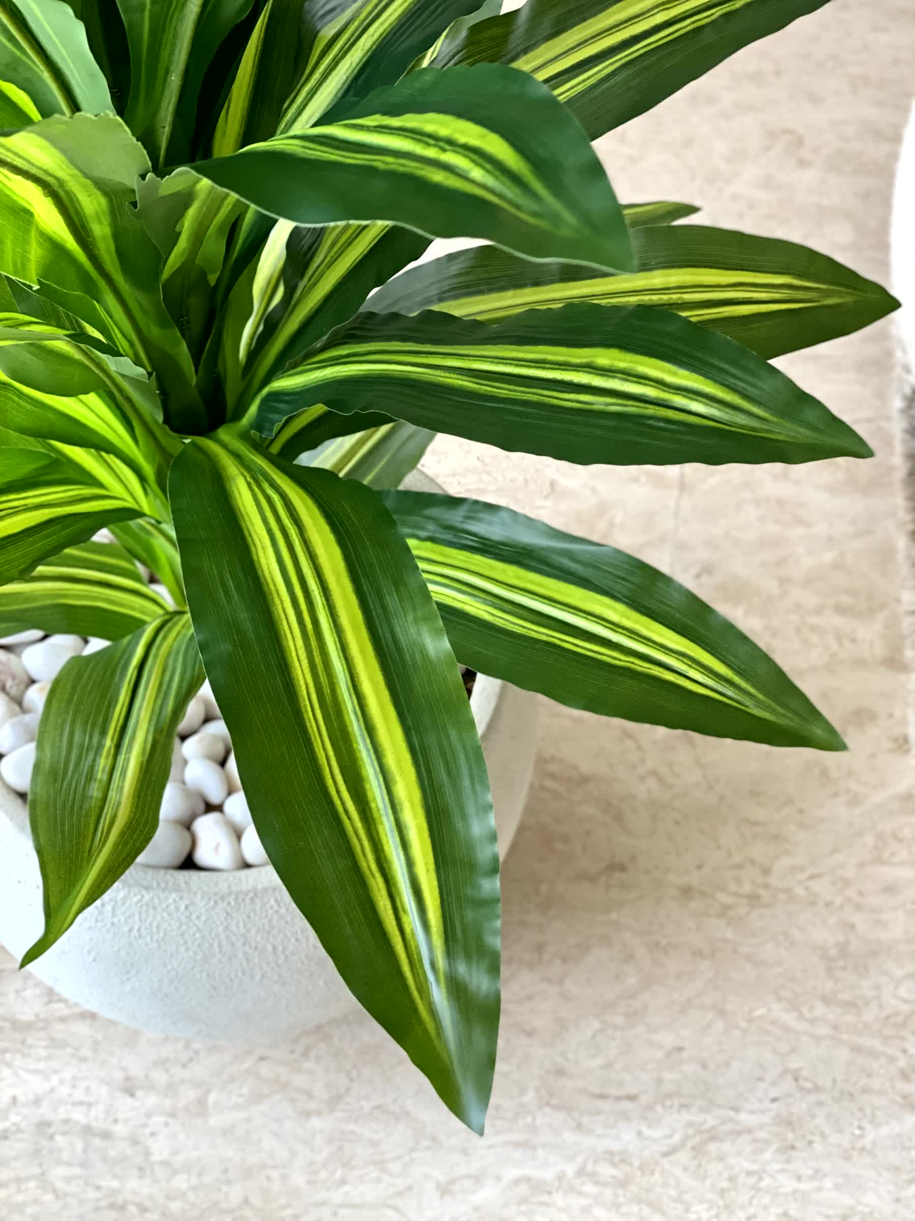 Artificial Tropical Dracaena Floor Plant  - 5 Feet