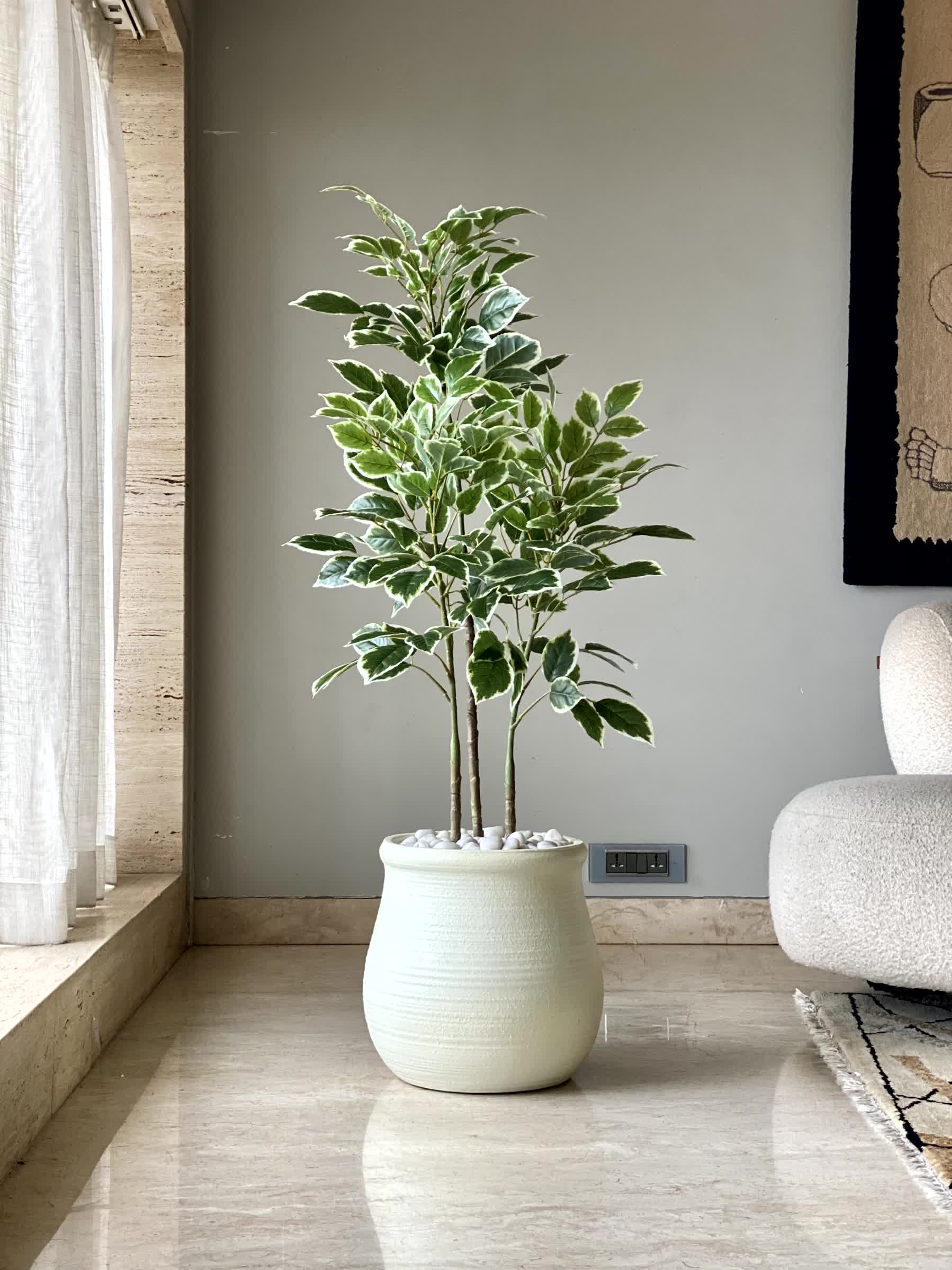 Artificial Benjamin Ficus Plant - 4 Feet