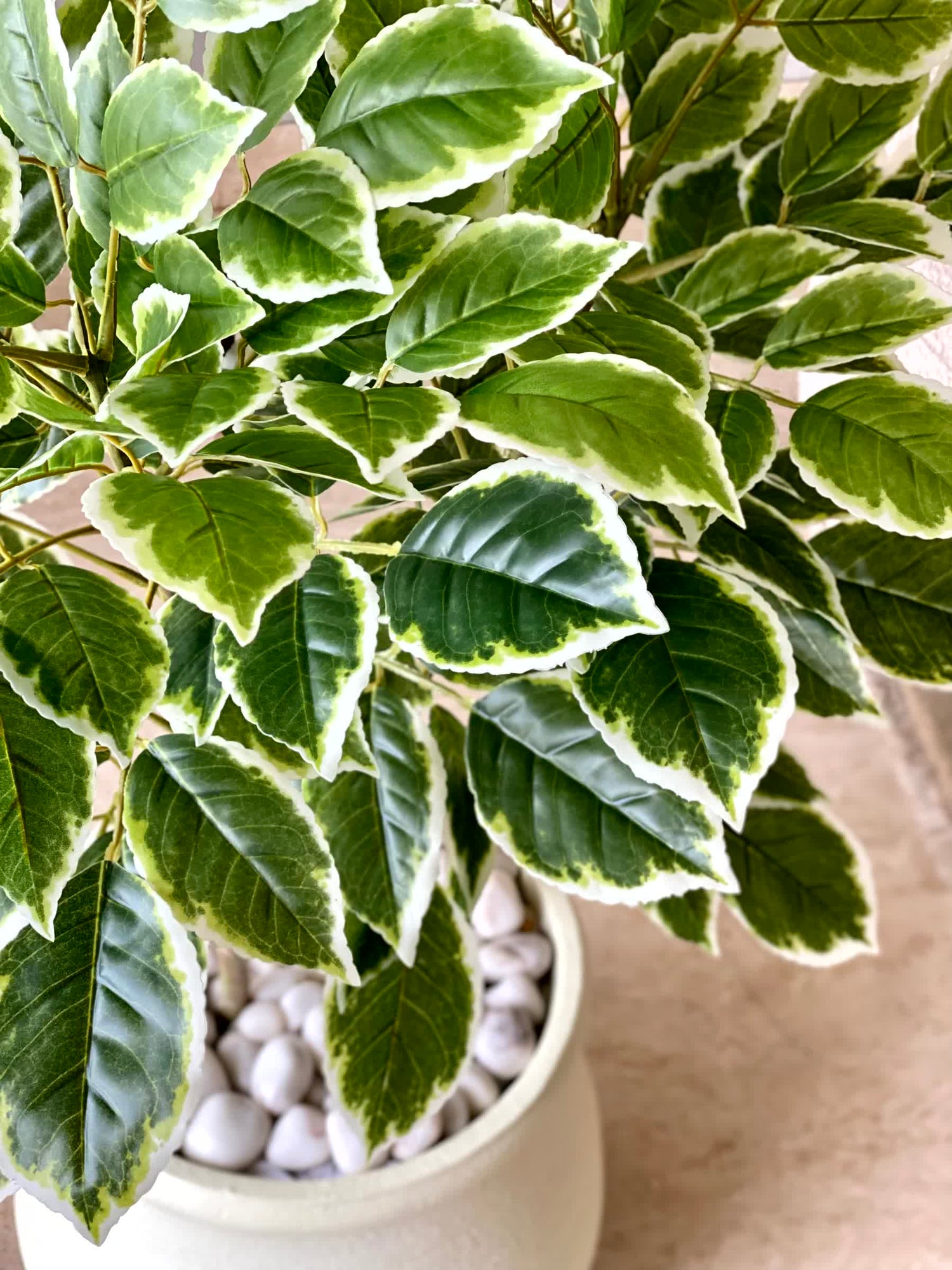 Artificial Benjamin Ficus Plant - 4 Feet