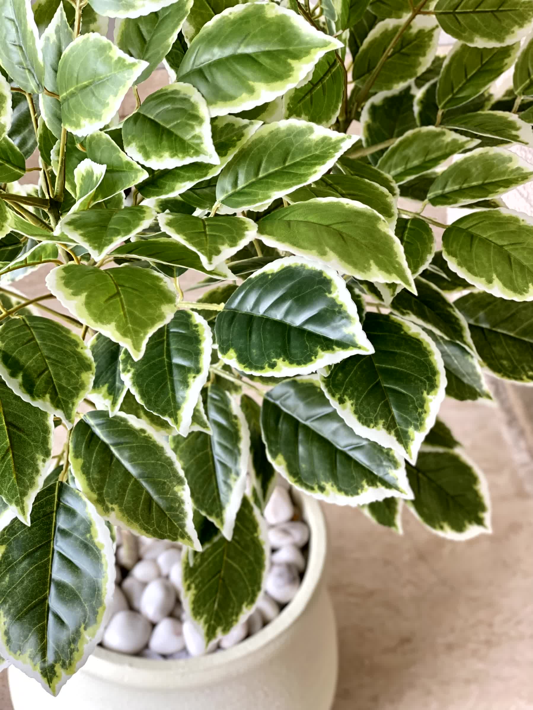 Artificial Benjamin Ficus Plant - 4 Feet