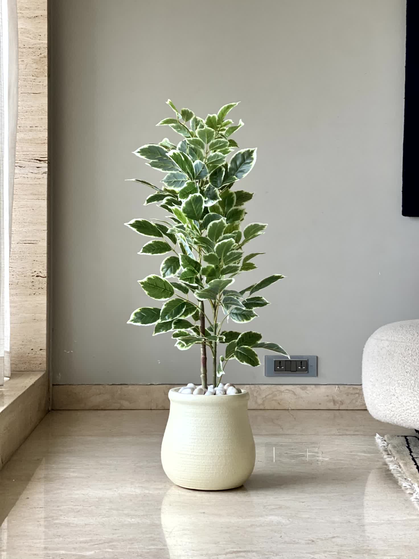 Artificial Benjamin Ficus Plant - 3 Feet
