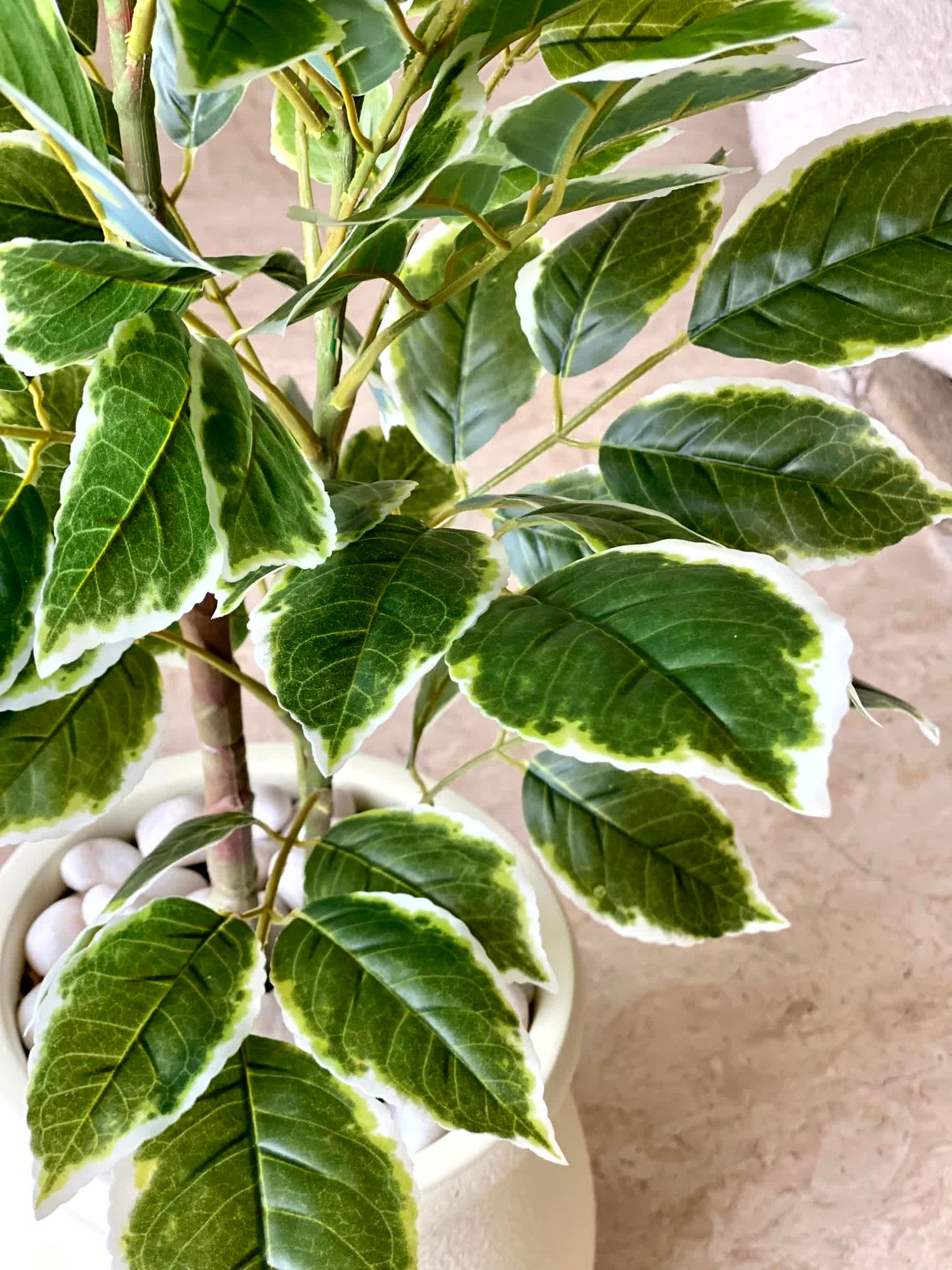 Artificial Benjamin Ficus Plant - 3 Feet