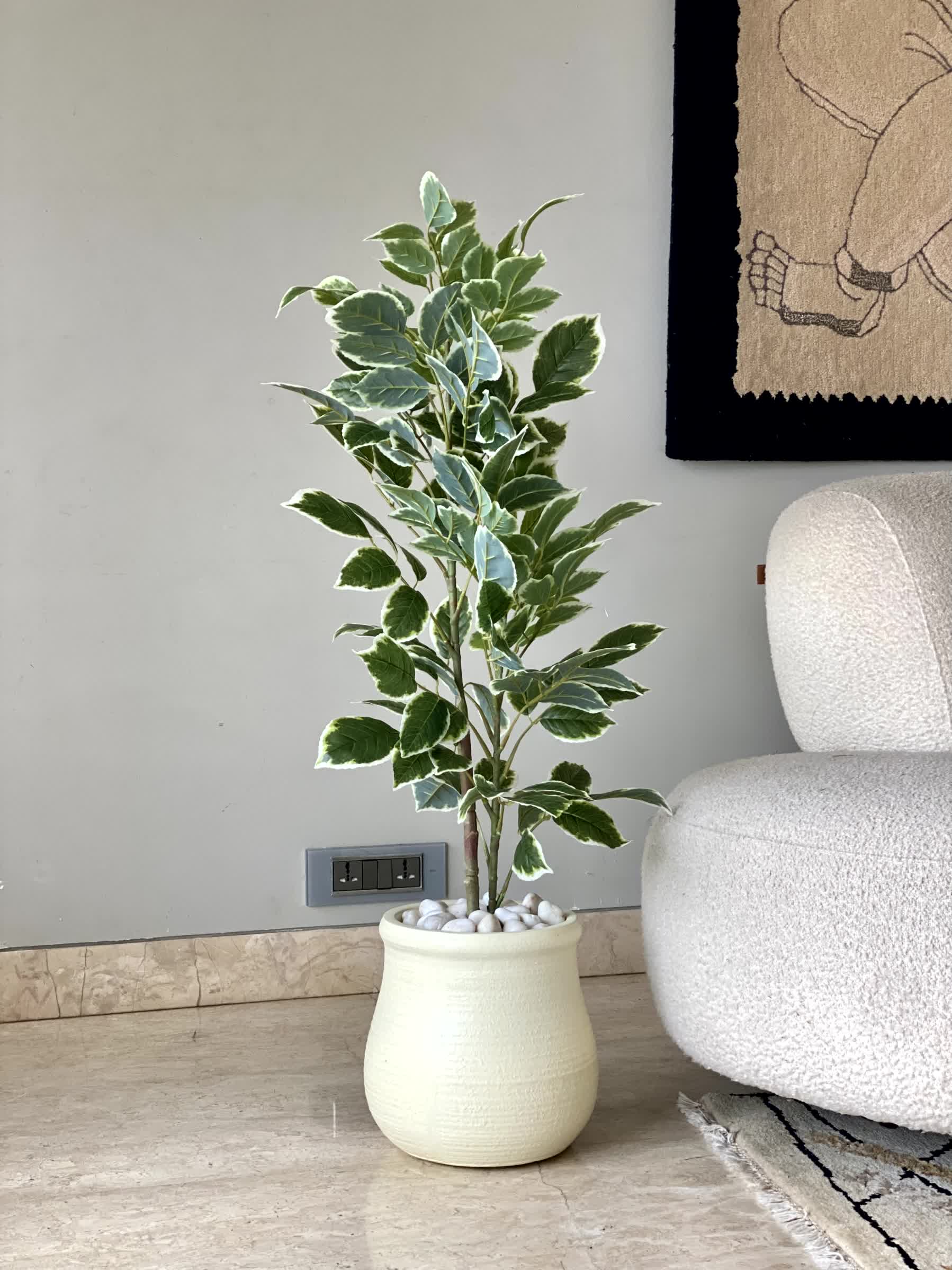 Artificial Benjamin Ficus Plant - 3 Feet