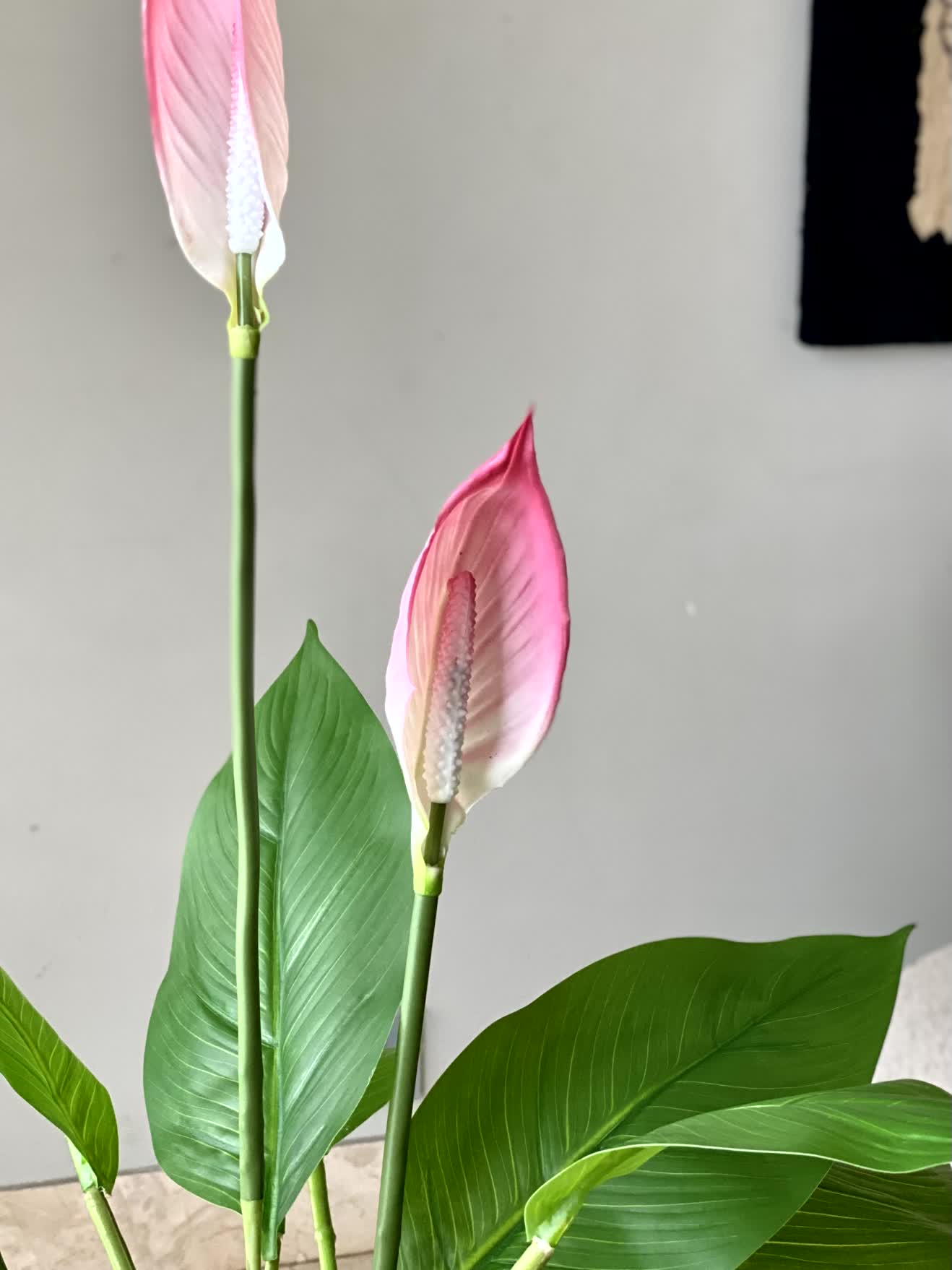 Artificial Pink Peace Lily Plant - 3.4 Feet