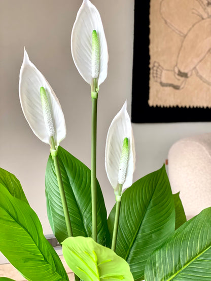 Artificial White Peace Lily Plant - 3.4 Feet