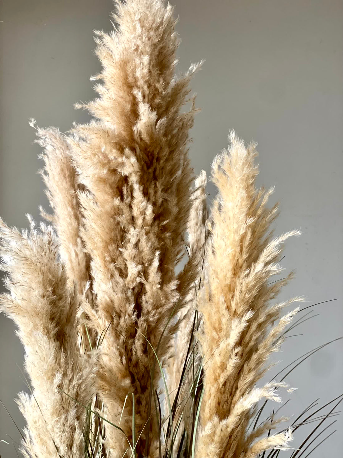 Artificial Luxe Pampas Grass Plant - 3.6 Feet