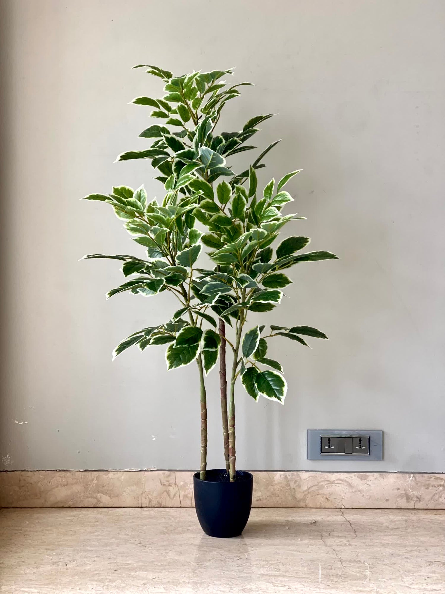 Artificial Benjamin Ficus Plant - 4 Feet