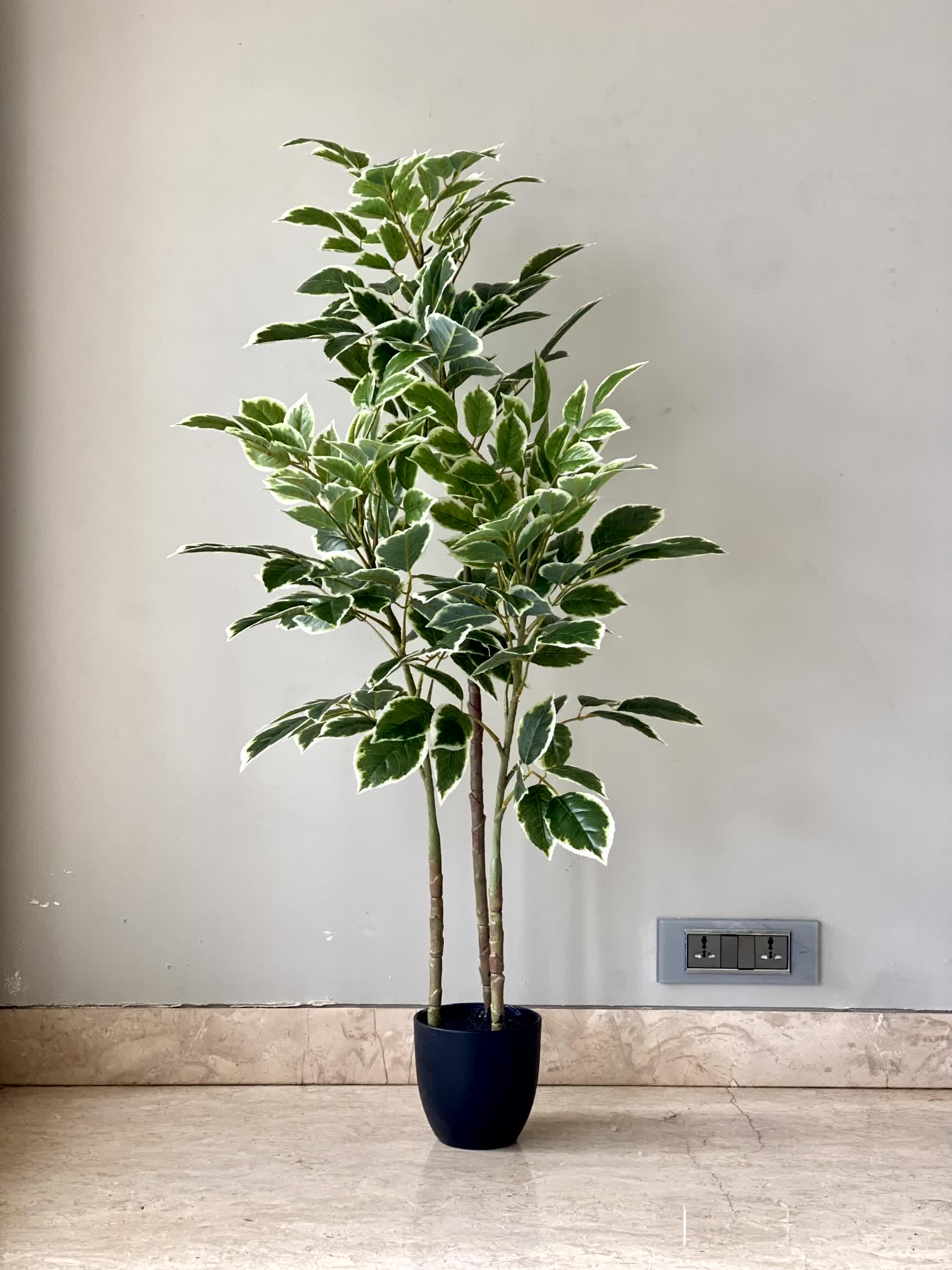 Artificial Benjamin Ficus Plant - 4 Feet