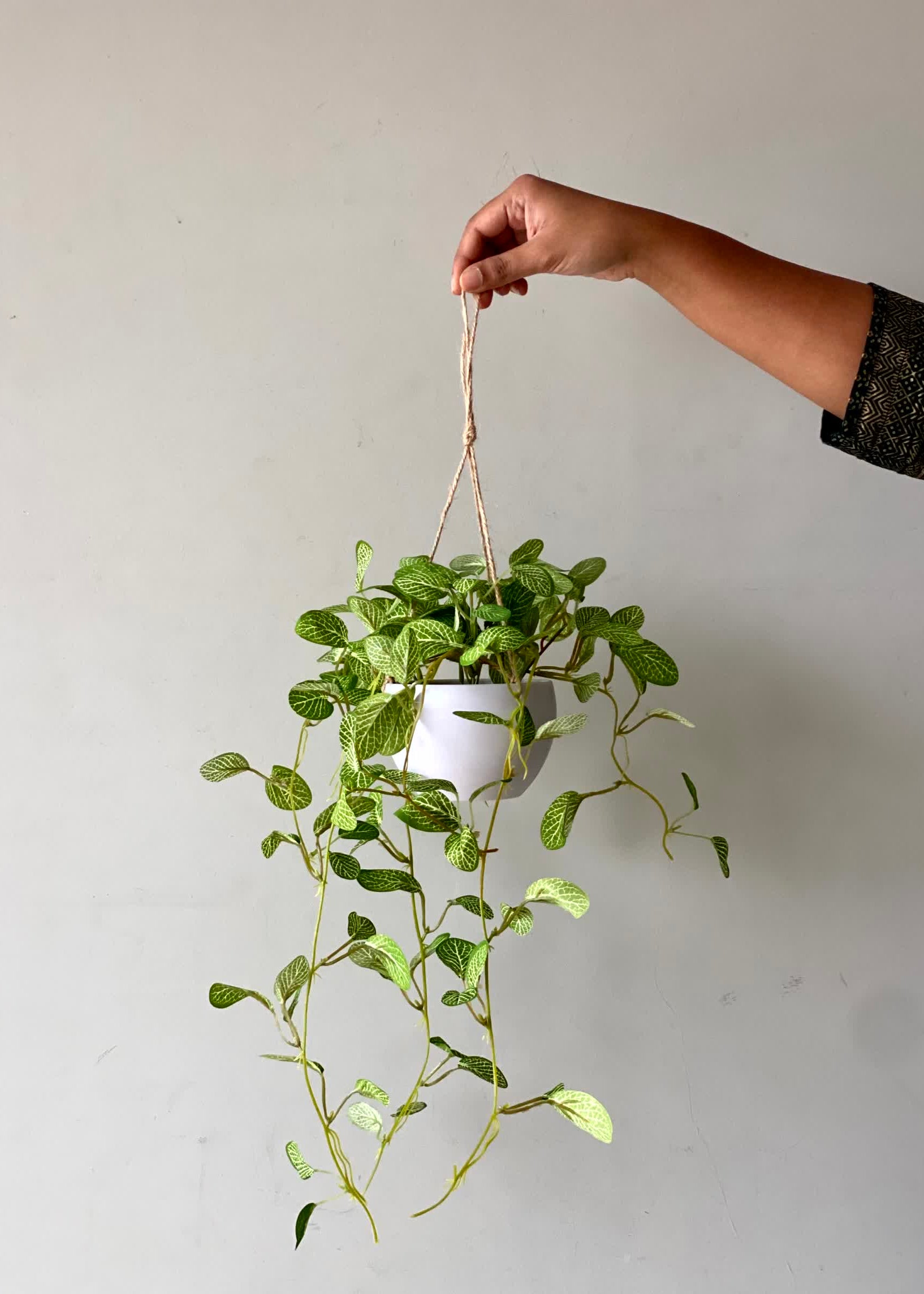 Artificial Green Mosaic Trailing Plant