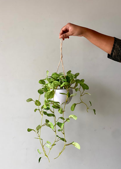 Artificial Green Mosaic Trailing Plant