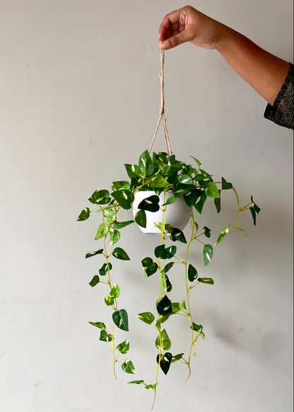 Artificial Vela Hanging Plant