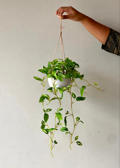 Artificial Lush Green Trailing Plant