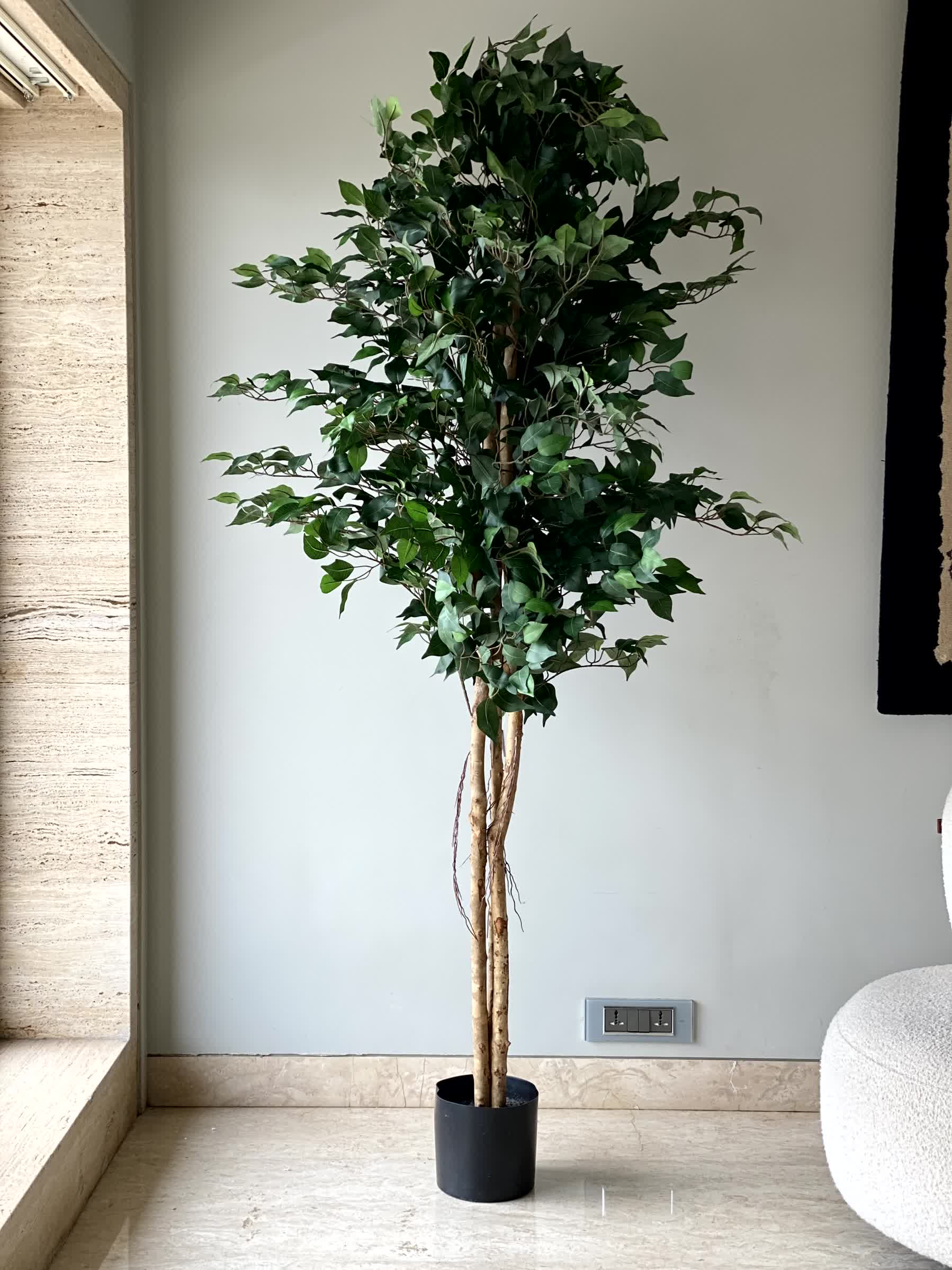 Artificial Tranquil Ficus - 7.5 Feet