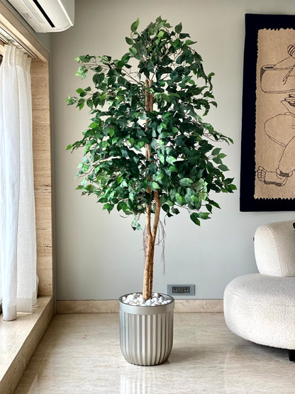 Artificial Tranquil Ficus - 7.5 Feet