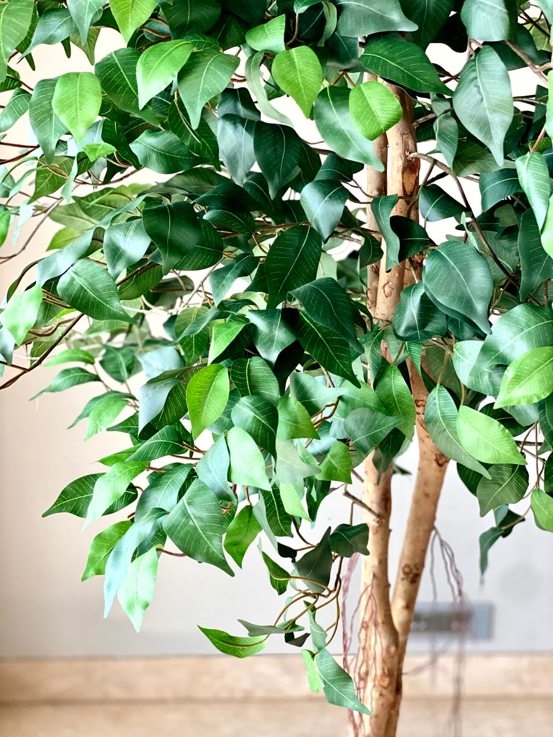 Artificial Tranquil Ficus - 7.5 Feet