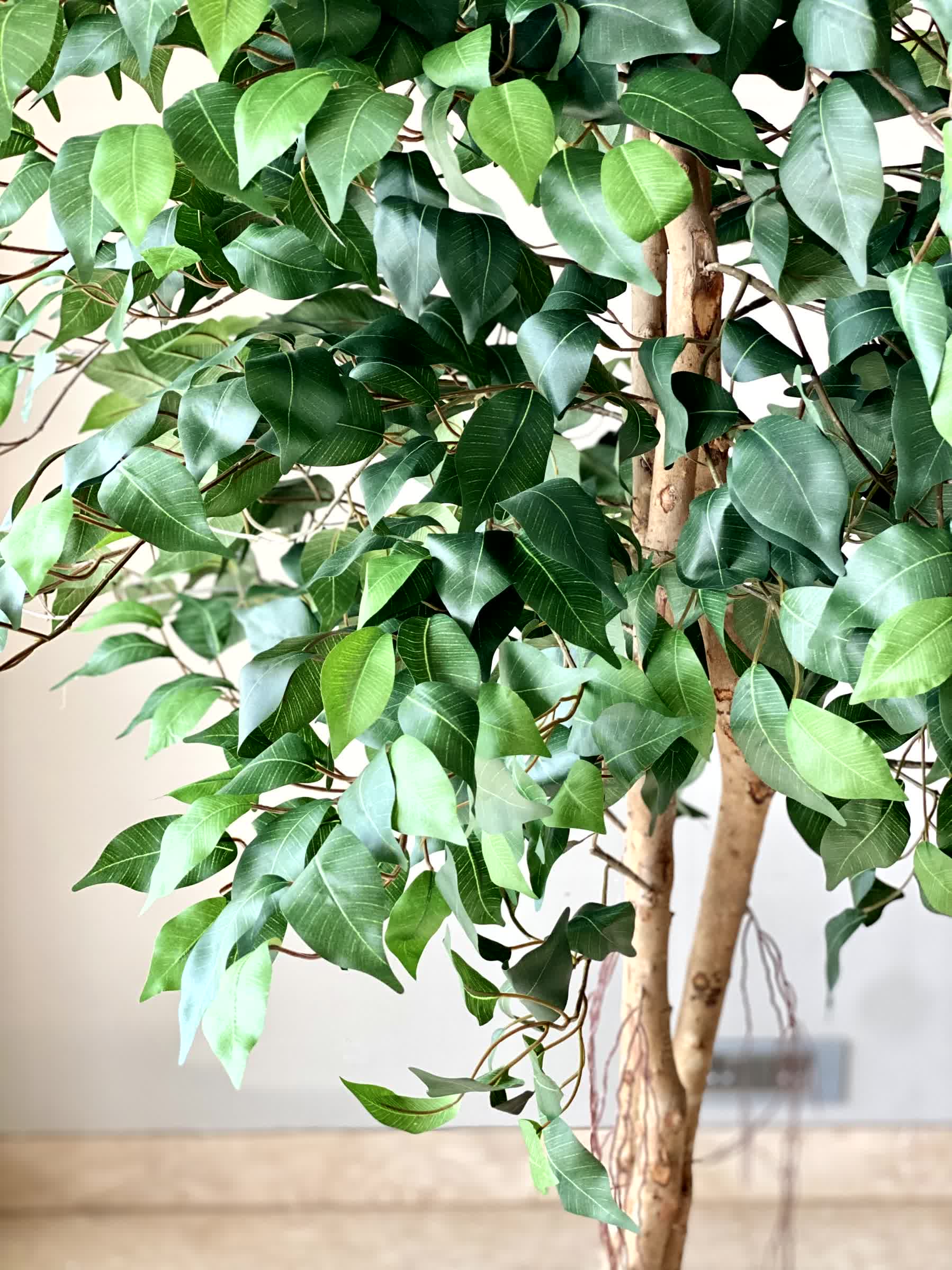 Artificial Tranquil Ficus - 7.5 Feet