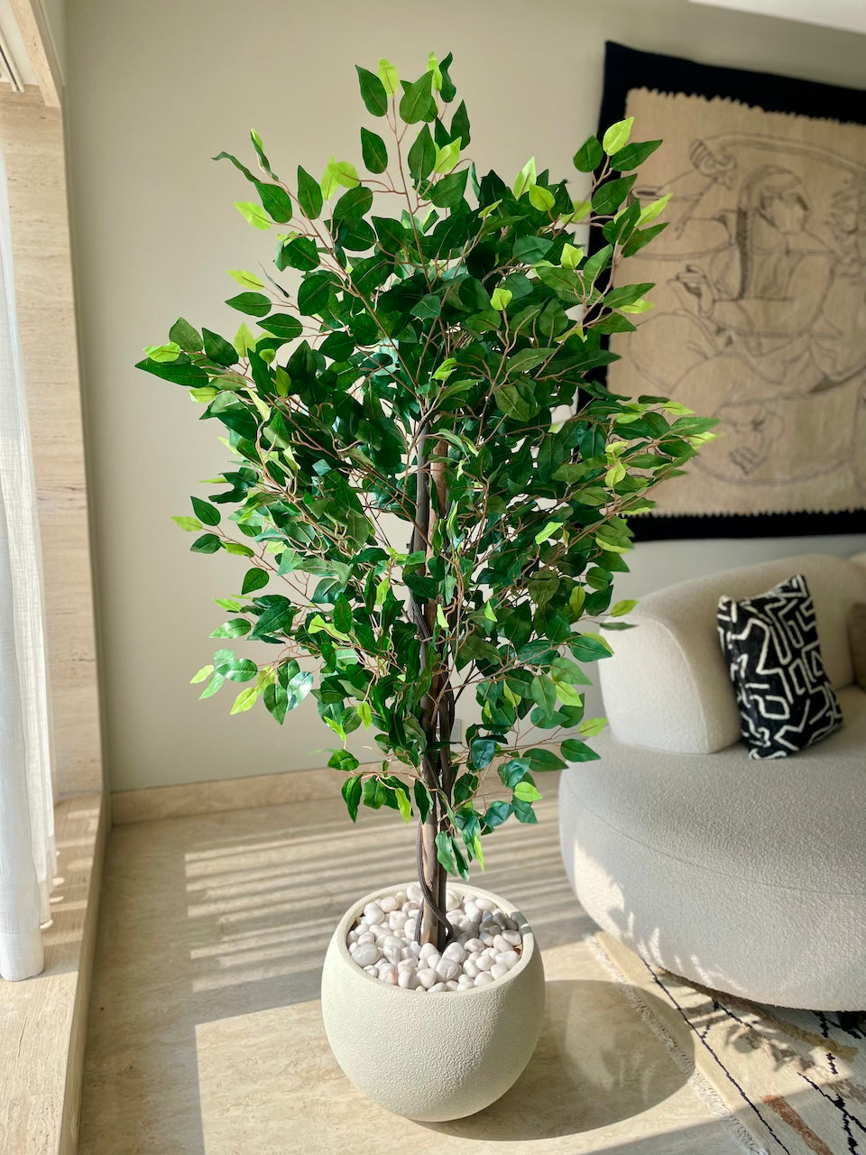 Artificial Jade Ficus Plant - 5.5 Feet