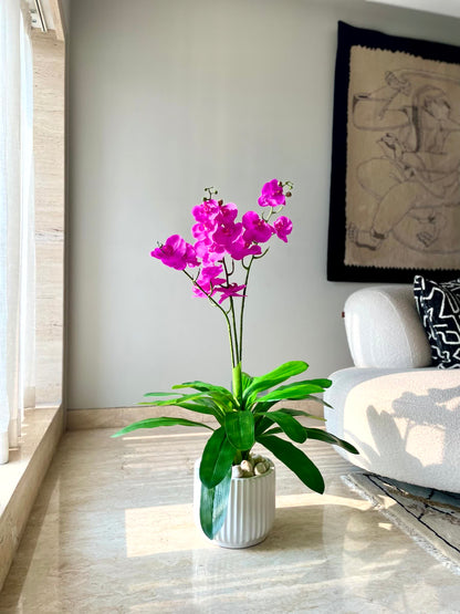 Artificial Orchid Plant - 3.5 Feet